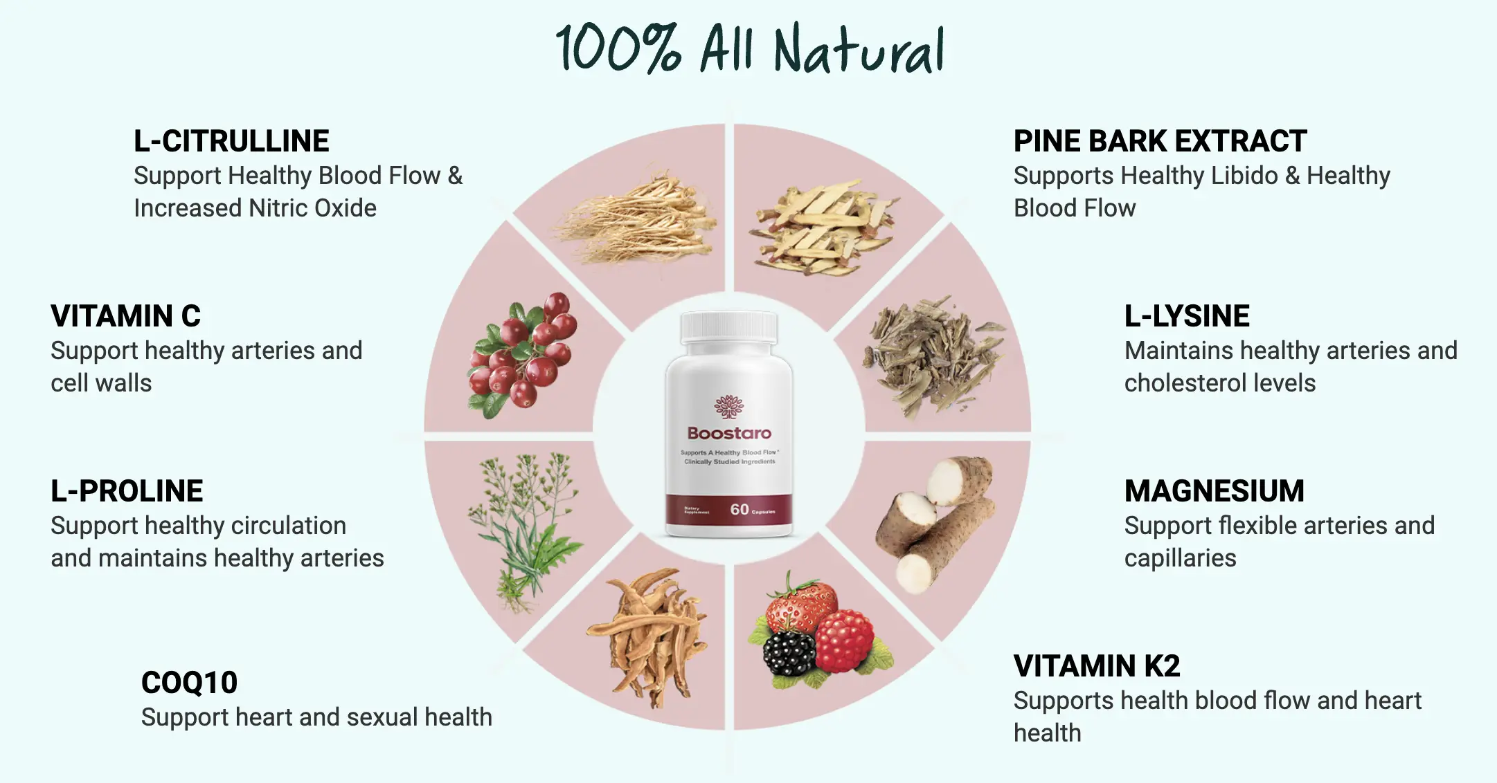boostaro ingredients